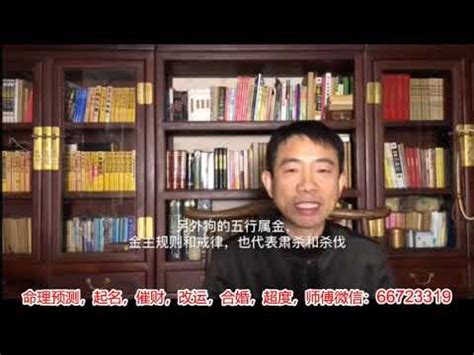 黑狗風水|【後院養黑狗風水】在中國的風水學說上黑狗有什麼寓意和能力嗎。